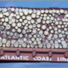 HO Atlantic Coast Flatcar Revell [TRN1111]
