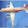 Linemar Capital Airline Tin Toy Plane [YHW1201]