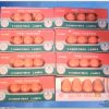 Orange C-7½ Bulbs w/orig packaging (8 boxes) [YLG0021]